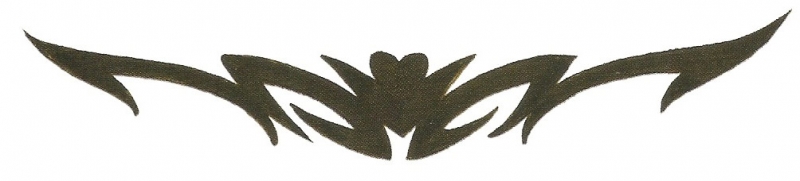 Card image cap